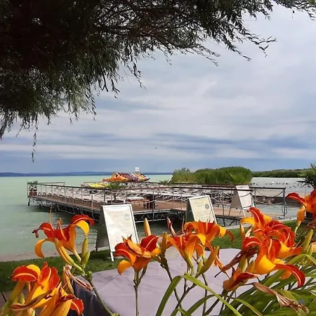 Bori Villa Siófok